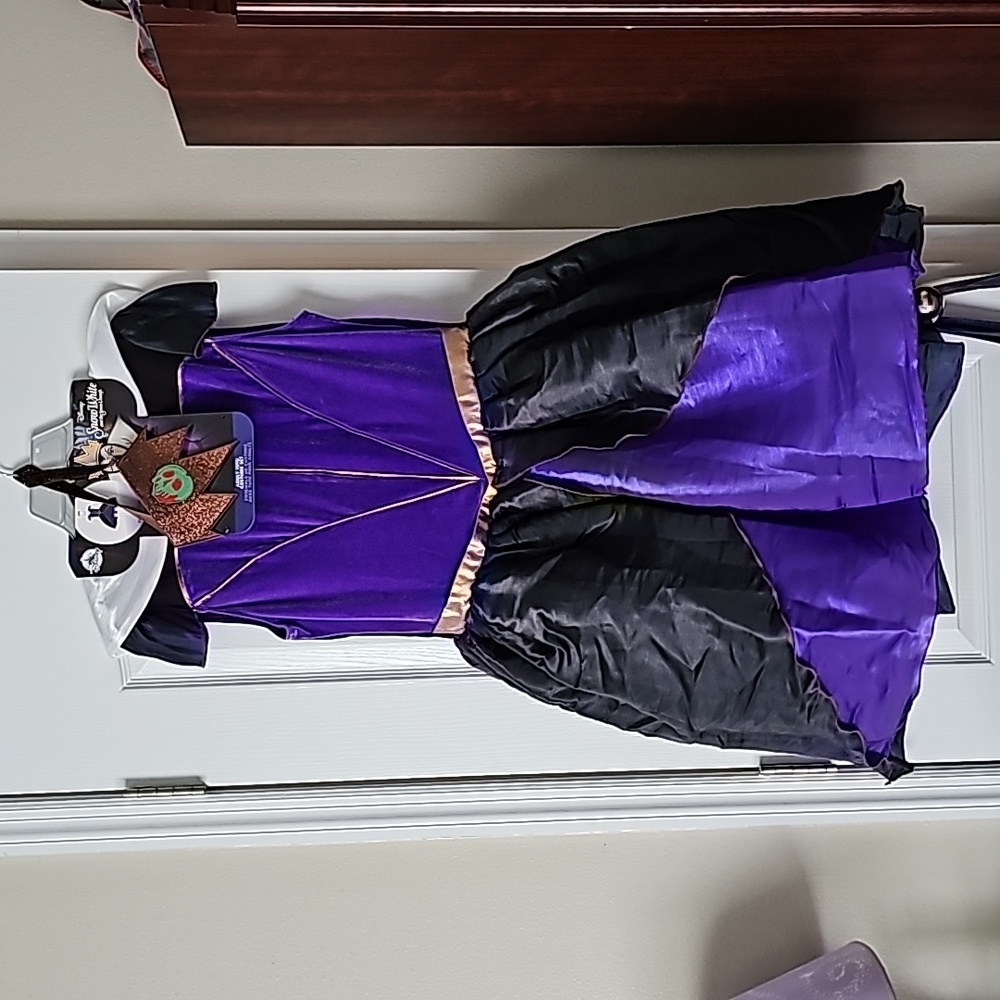 Disney Evil Queen Costume